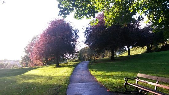 Brandon Hill Nature Park